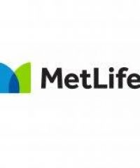 Metlife Alico